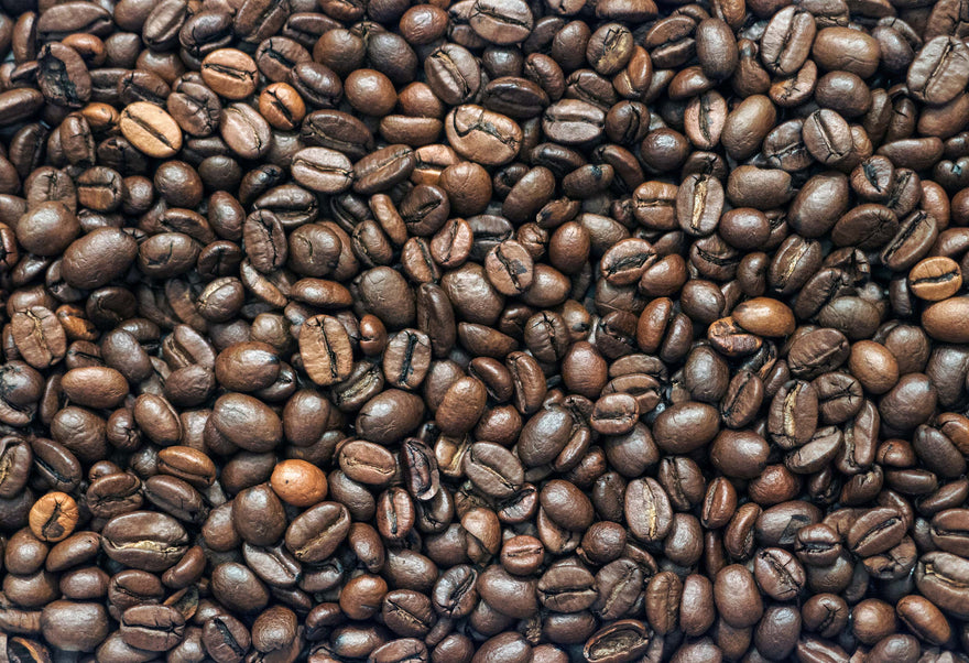 How to Choose the Best Coffee Beans