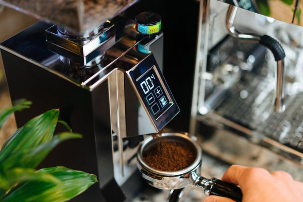 Eureka Mignon Perfetto Espresso Grinder - Black | My Espresso Shop