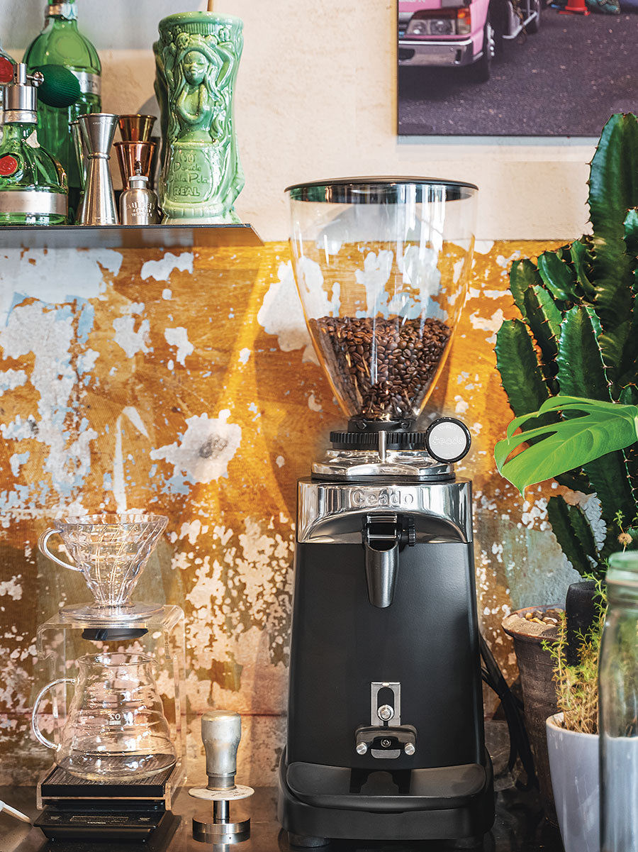 ceado quick set gear upgrade kit Ceado E37T Commercial Espresso Grinder